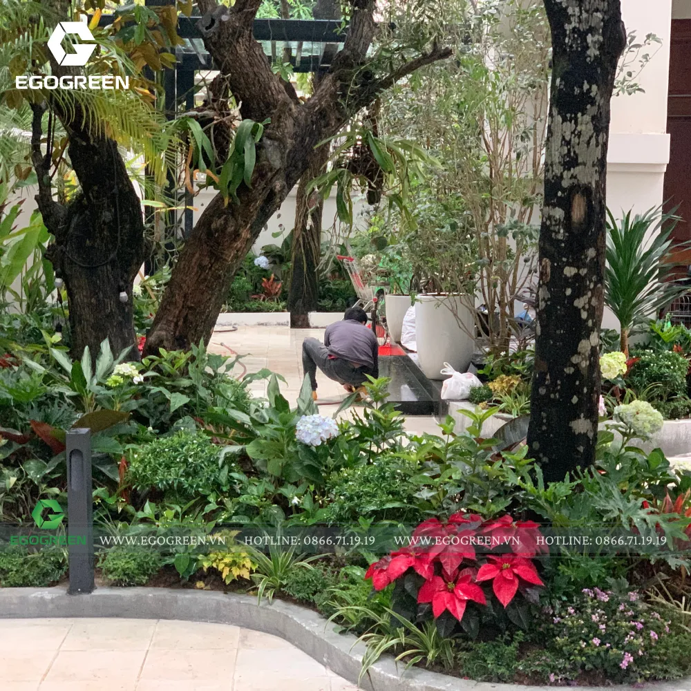 Xác định phong cách phù hợp với thực tế và mong muốn của gia chủ.